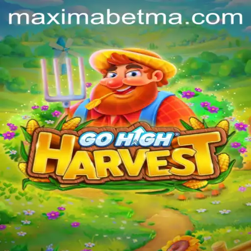 maximabet Casino App